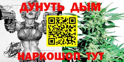 индика Заволжье