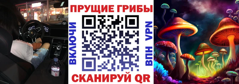 купить наркоту  Гулькевичи  Псилоцибиновые грибы мицелий 