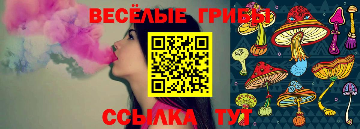 Псилоцибиновые грибы GOLDEN TEACHER  наркота  Гулькевичи 